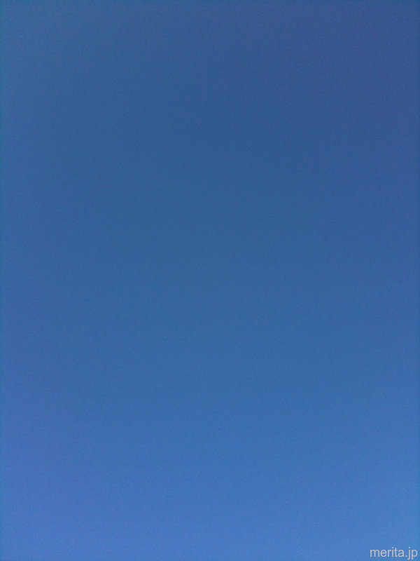 冬天