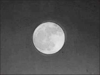 MOON